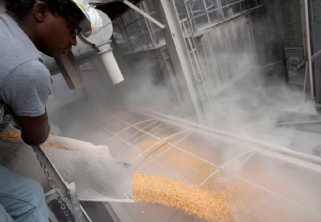 Vietnam y su nueva estrategia agrícola: un desafío para las exportaciones&nbsp;argentinas