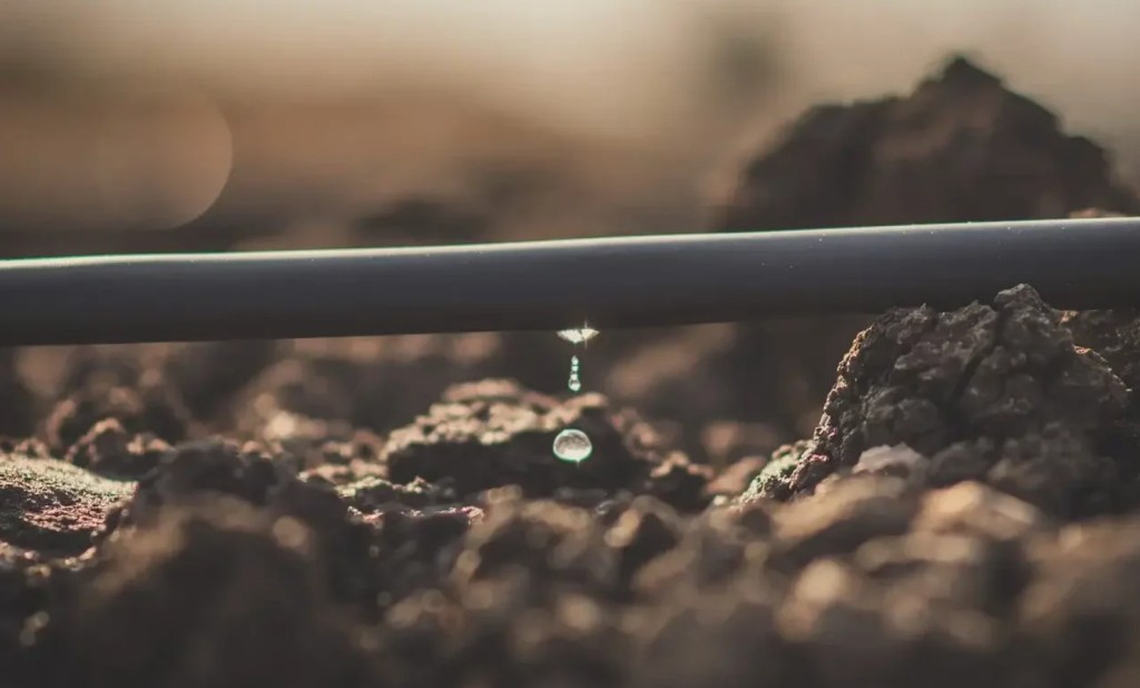 El riego por goteo avanza hacia la agricultura extensiva: “Es clave para ampliar la frontera&nbsp;productiva”