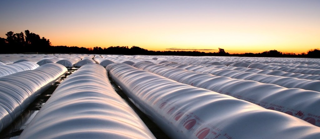 Silobolsas reforzadas: protección eficaz contra plagas y el&nbsp;sol