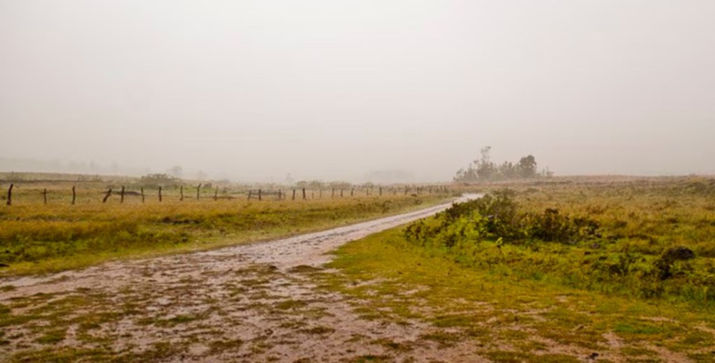 Clima Agrícola: La Bolsa de Cereales Pronostica Lluvias Escasas y Fuertes Oscilaciones Térmicas hasta el 22 de&nbsp;Octubre