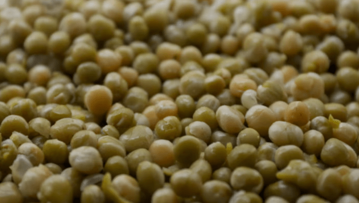 La campaña de legumbres 2024/2025 marca un récord histórico en&nbsp;Argentina