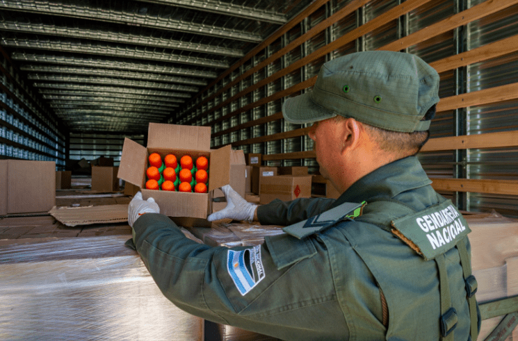 Gendarmería Nacional retuvo a un transportista que llevaba 338 kilos de sustancias ilícitas entre cajas de repelentes en&nbsp;Chaco