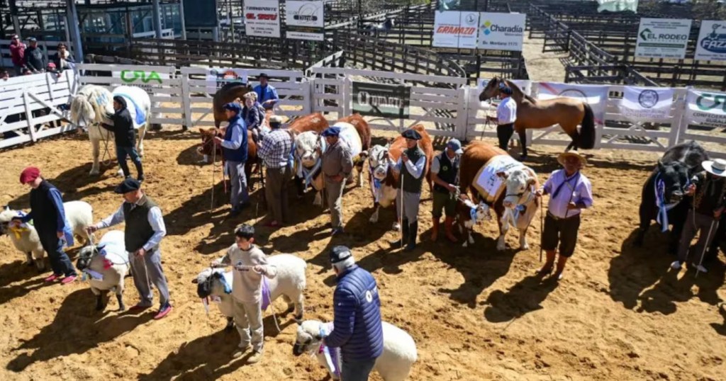 Más que una feria: La CRA destaca el rol de las exposiciones rurales como dinamizadores del desarrollo&nbsp;local