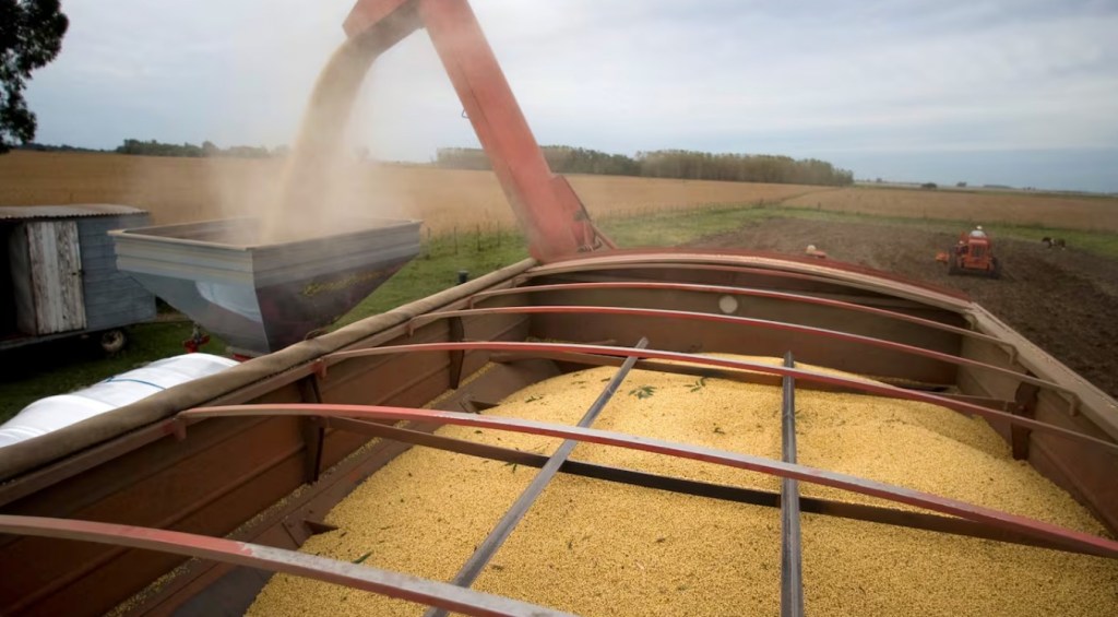 Techo productivo: La capacidad de crecimiento del agro se estancó en la última&nbsp;década