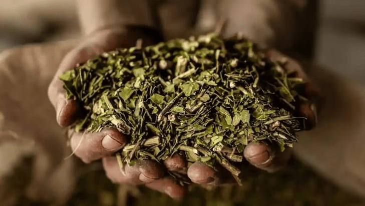 Gobierno de Misiones se reúne con empresarios y cooperativas para impulsar la yerba mate en el&nbsp;exterior