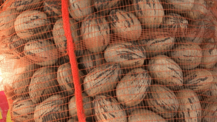 Argentina concretó la primera exportación de nuez pecán a&nbsp;China