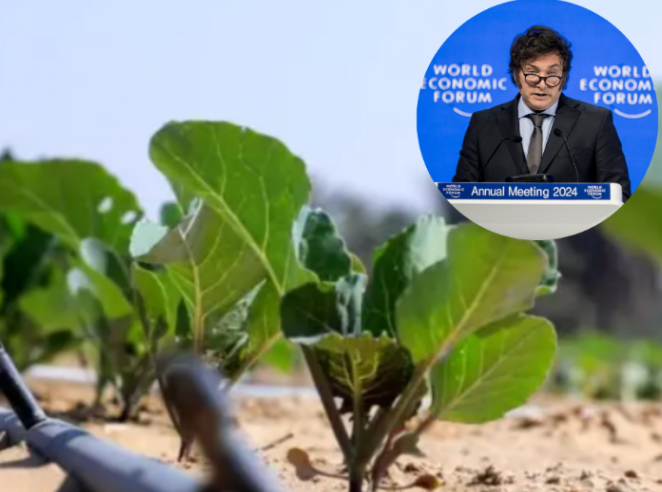 Tras 20 años de la negativa por parte del kirchnerismo, un productor agropecuario convirtió el desierto en tierra fértil 