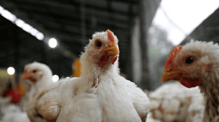 Alerta en las economías regionales: solo cinco sectores cerraron noviembre en&nbsp;verde