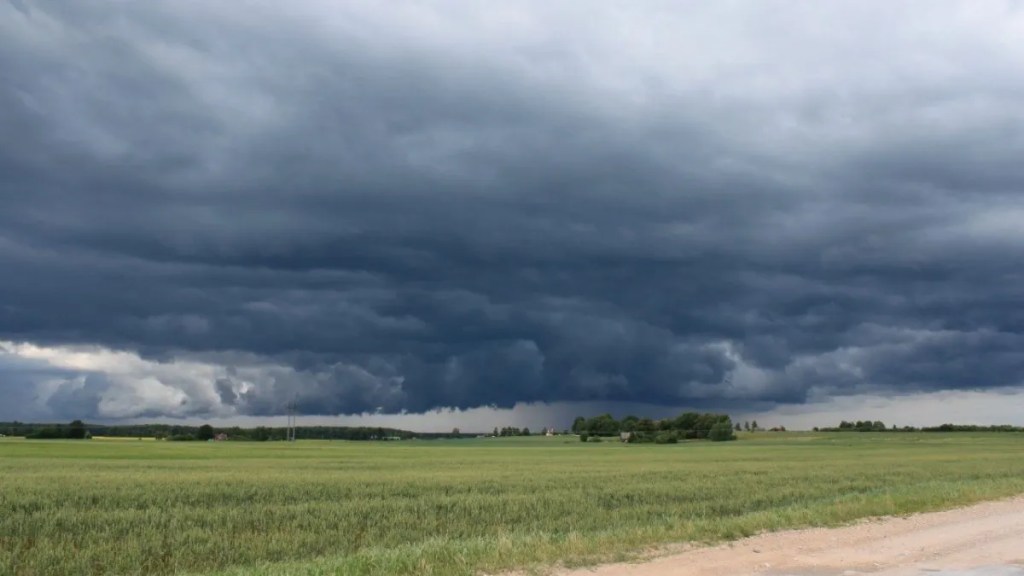 Cambio climático en la región núcleo: lluvias intensas alteran el panorama&nbsp;agrícola