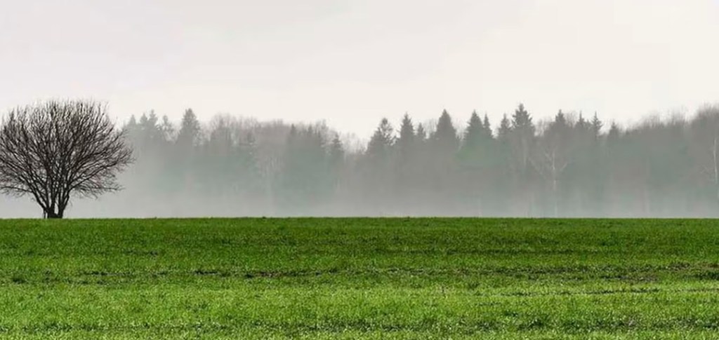 Las perspectivas climáticas para el sector agropecuario muestran una distribución de lluvias muy&nbsp;irregular