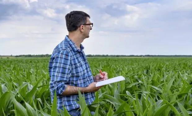 Kicillof bajo la lupa del agro: tasas provinciales y municipales diluyen alivios fiscales nacionales