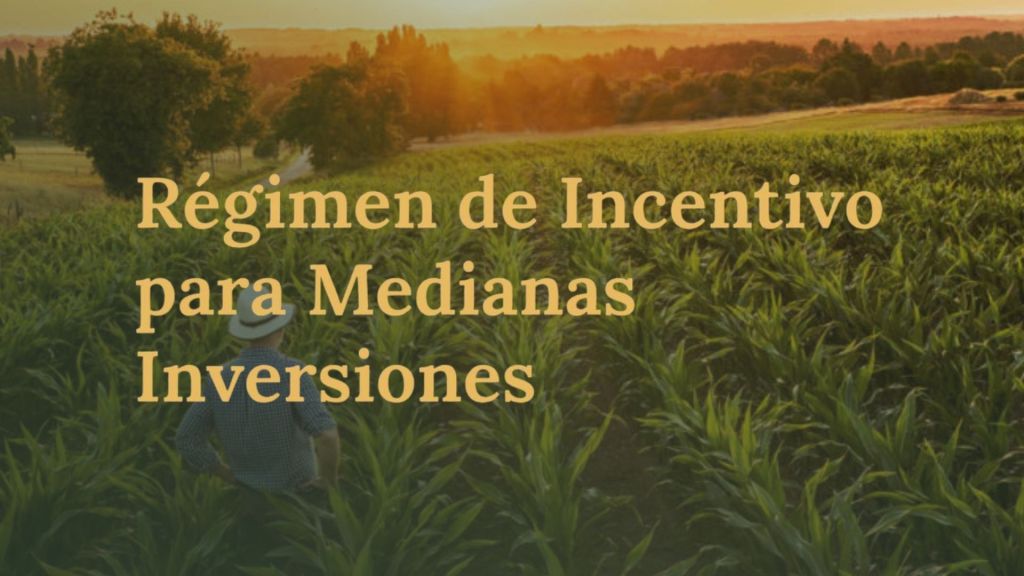 Menos impuestos para producir más: el RIMI impulsa inversiones y empleo en el agro argentino